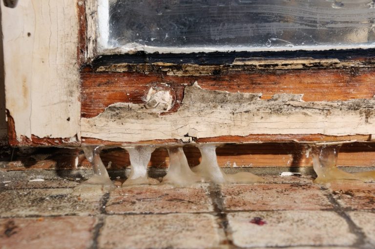 Moisissures sur les fenêtres : causes, nettoyage et vraies solutions