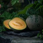 Légume en M