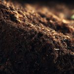 terreau qui n'absorbe pas l'eau