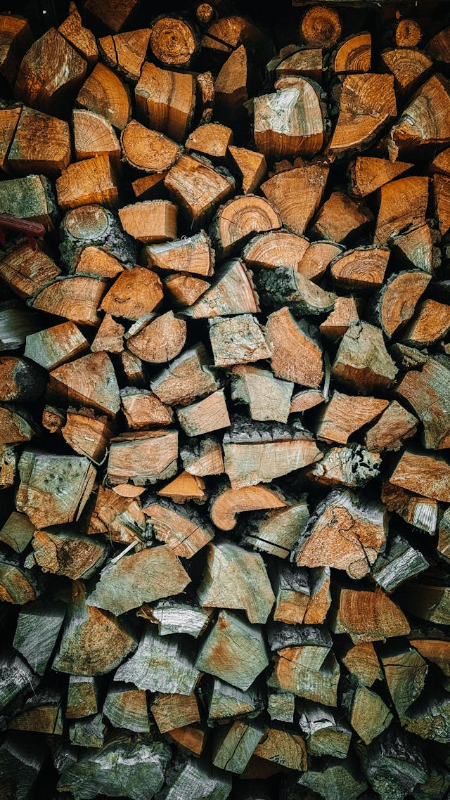 Firewood 40 euros per stere: realities, tips, and good deals