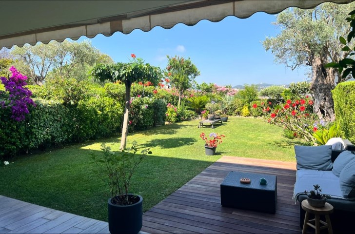 tondeuse à gazon professionnelle