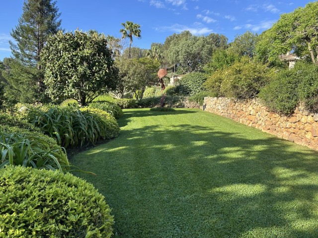 tondeuse à gazon professionnelle